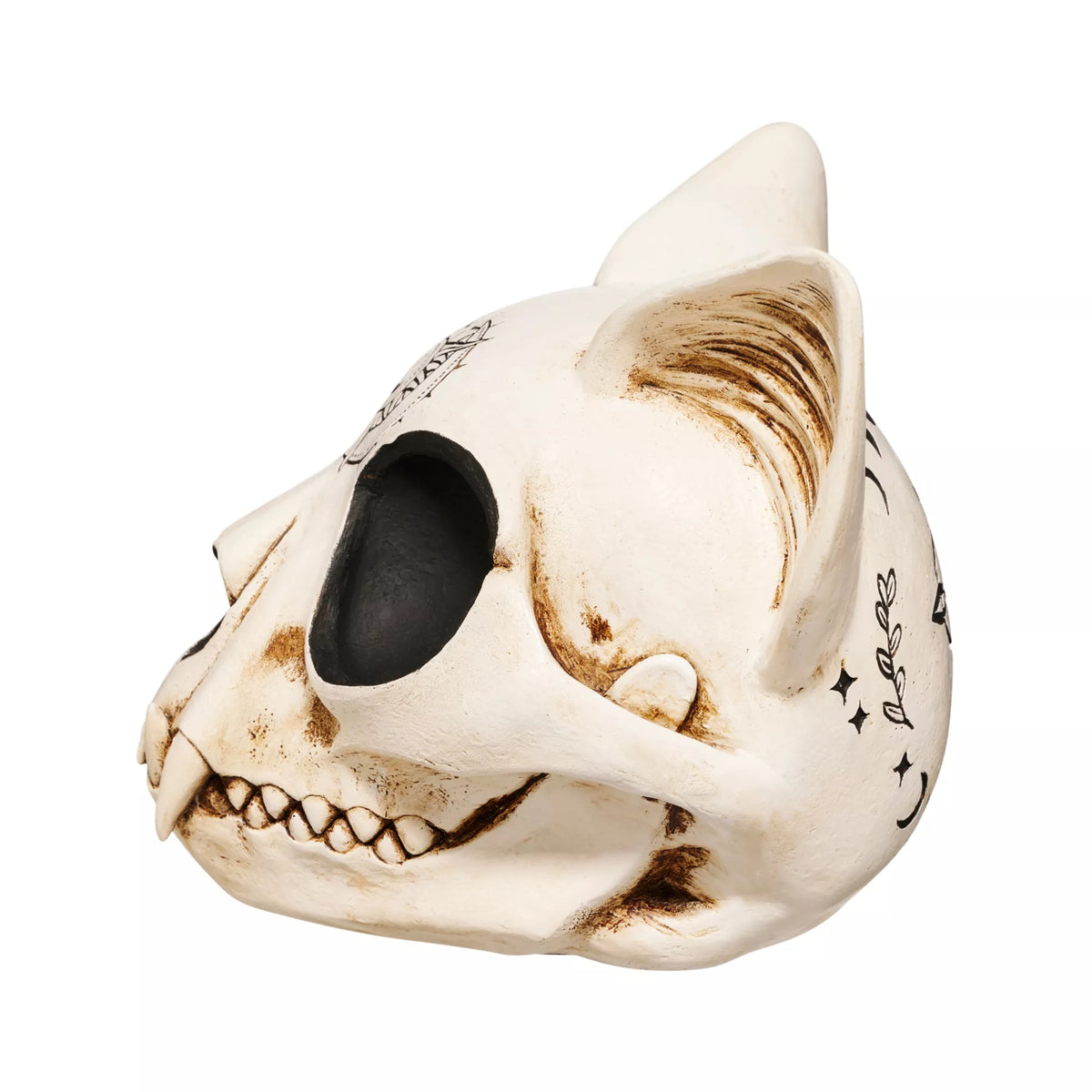 Mystical Arts Cat Skull