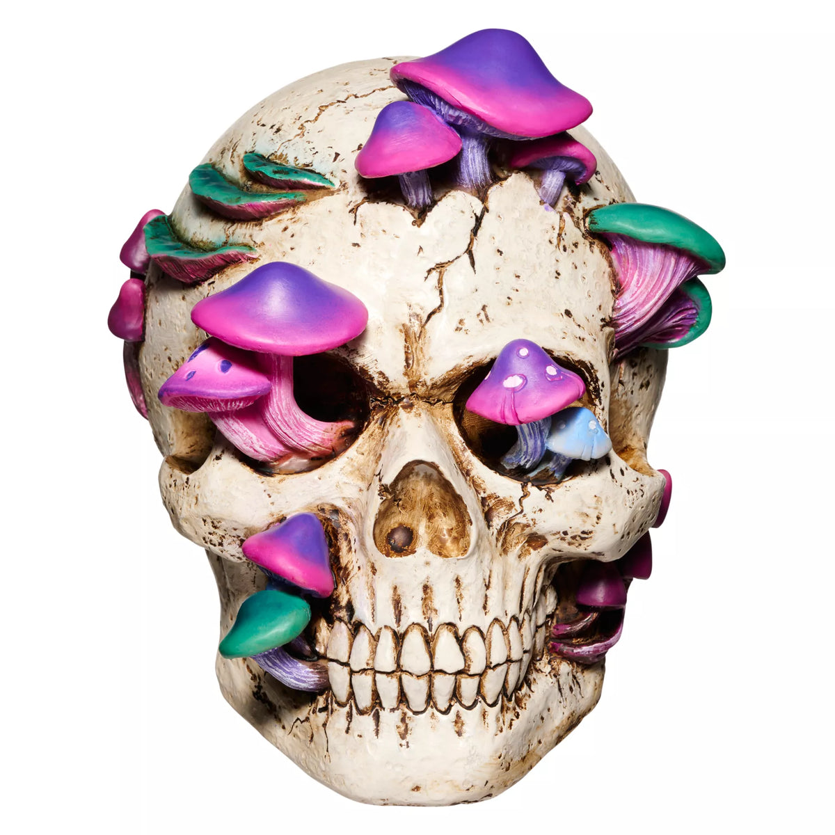 Mystical Arts Mushroom Skull