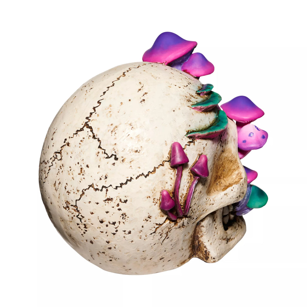 Mystical Arts Mushroom Skull