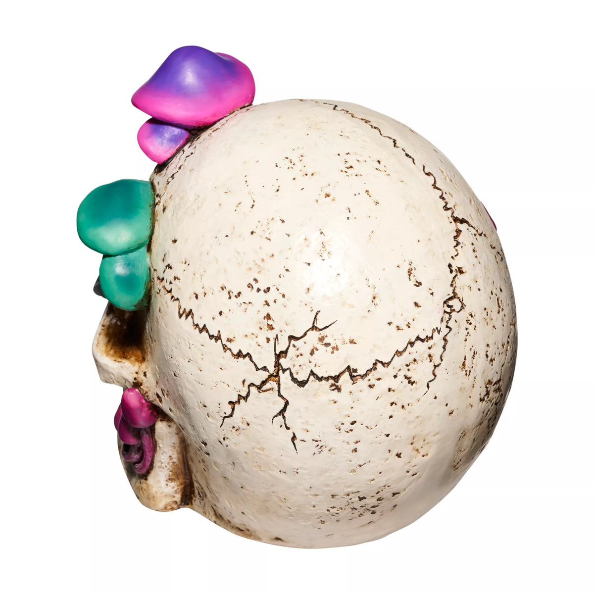 Mystical Arts Mushroom Skull