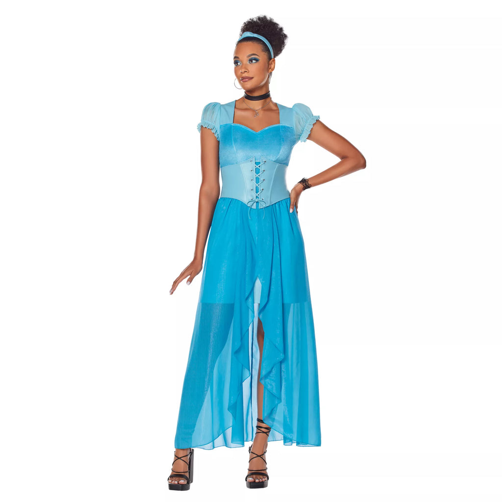 Adult Cinderella Dress Costume- Disney Princess