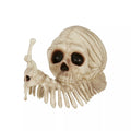 Skeleton Skull Snail