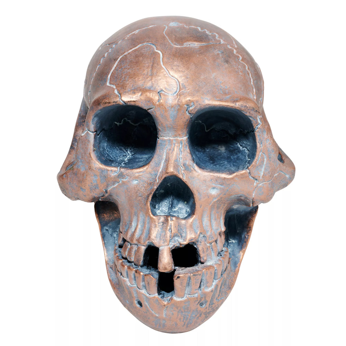 Resin Skull