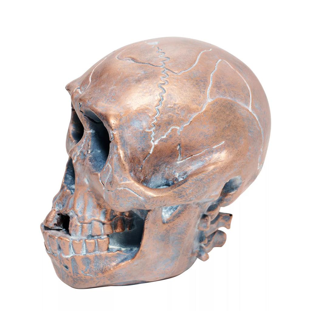 Resin Skull