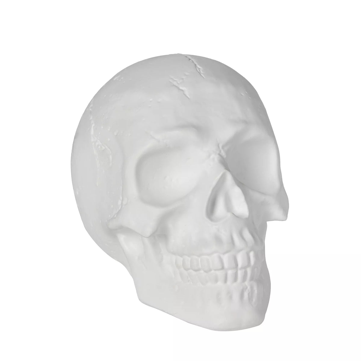 White Skull Tabletop Decoration