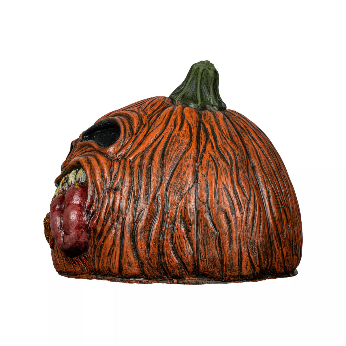 Carnivorous Intestine Pumpkin