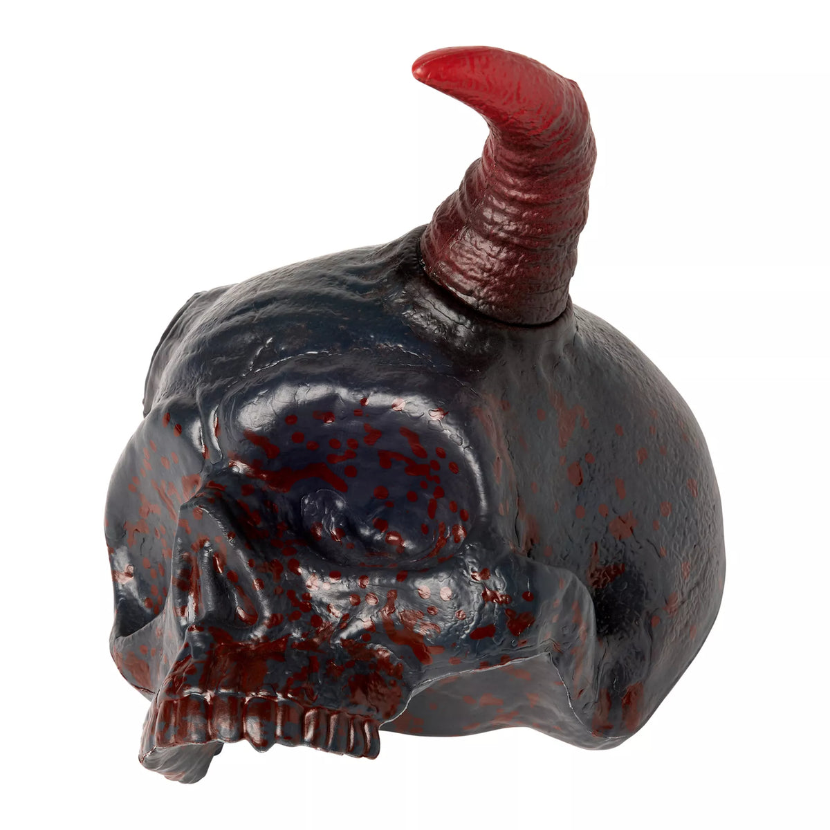 Fractured Horned Skull