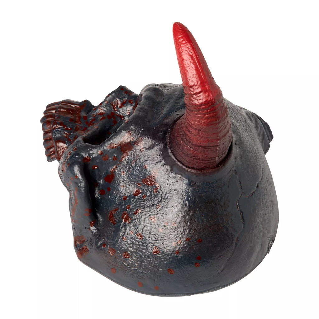 Fractured Horned Skull