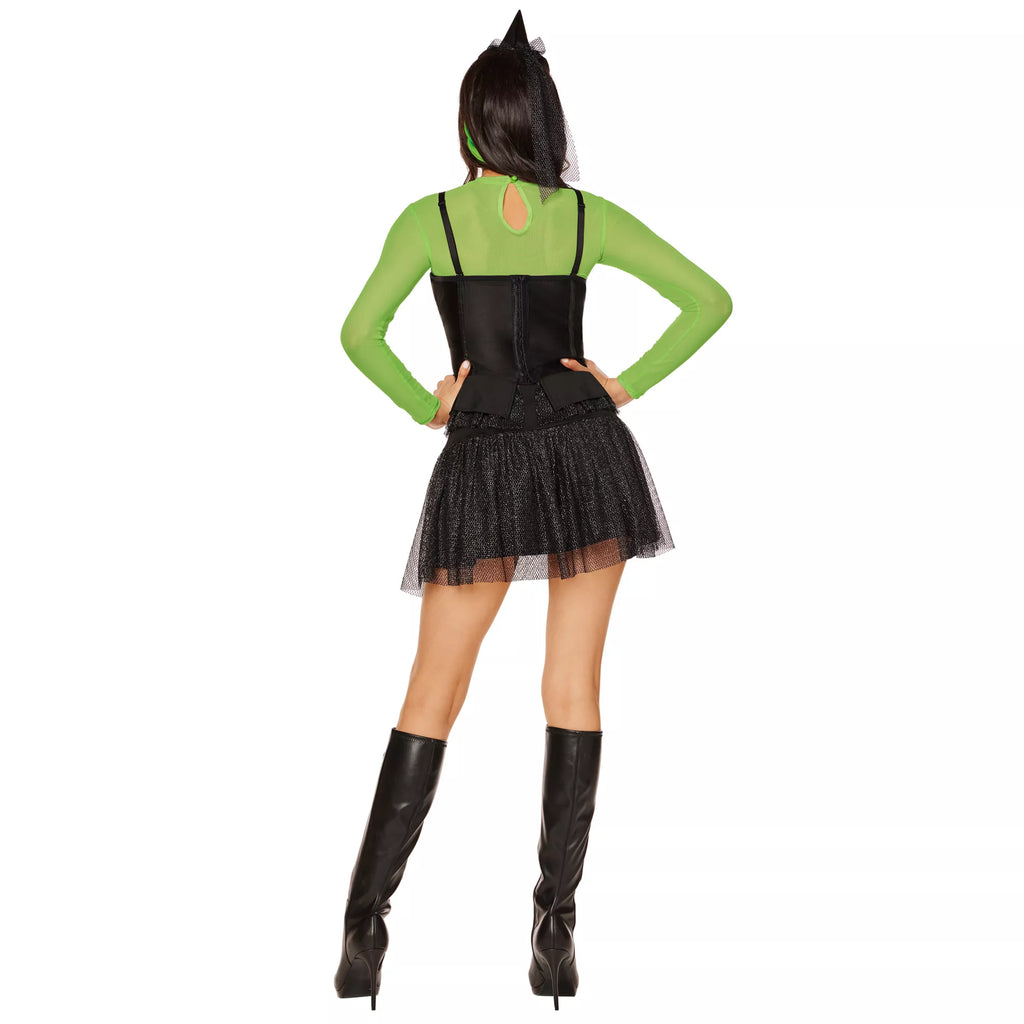 Adult Wicked Witch Costume - The Wizard of Oz