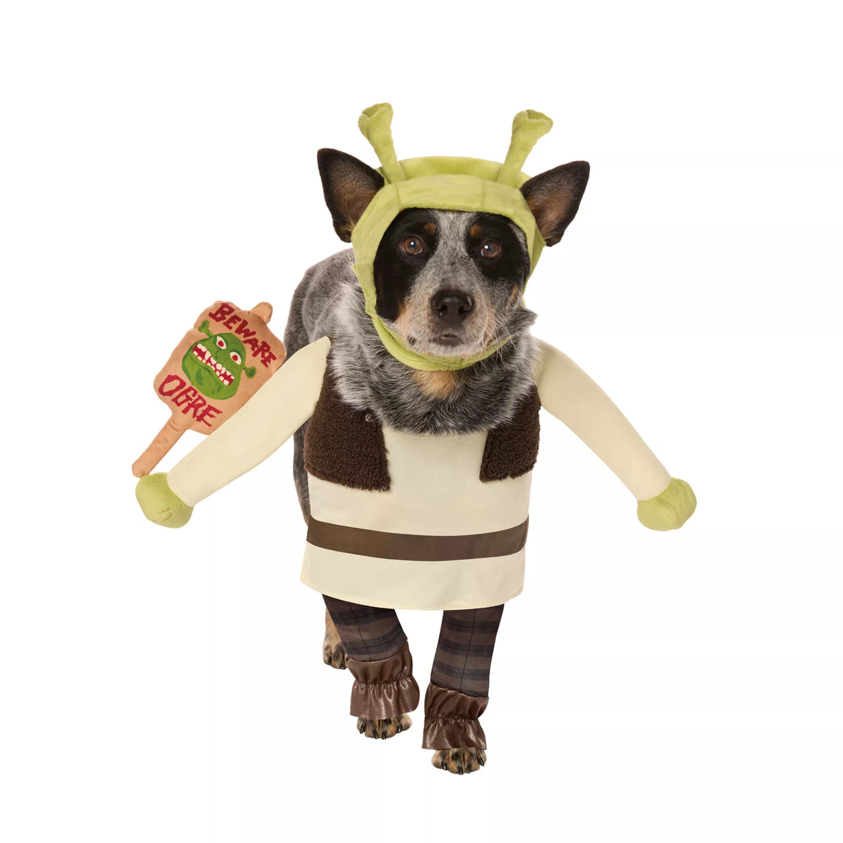 Shrek Pet Costume