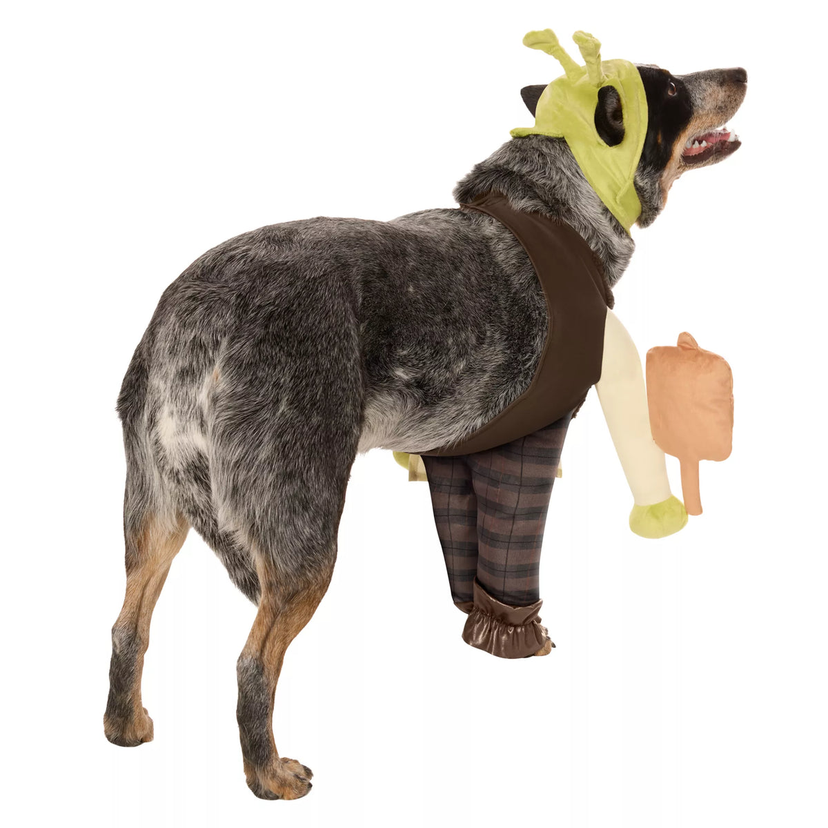 Shrek Pet Costume